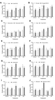 Bacillus amyloliquefaciens Confers Tolerance to Various Abiotic Stresses and Modulates Plant Response to Phytohormones through Osmoprotection and Gene Expression Regulation in Rice